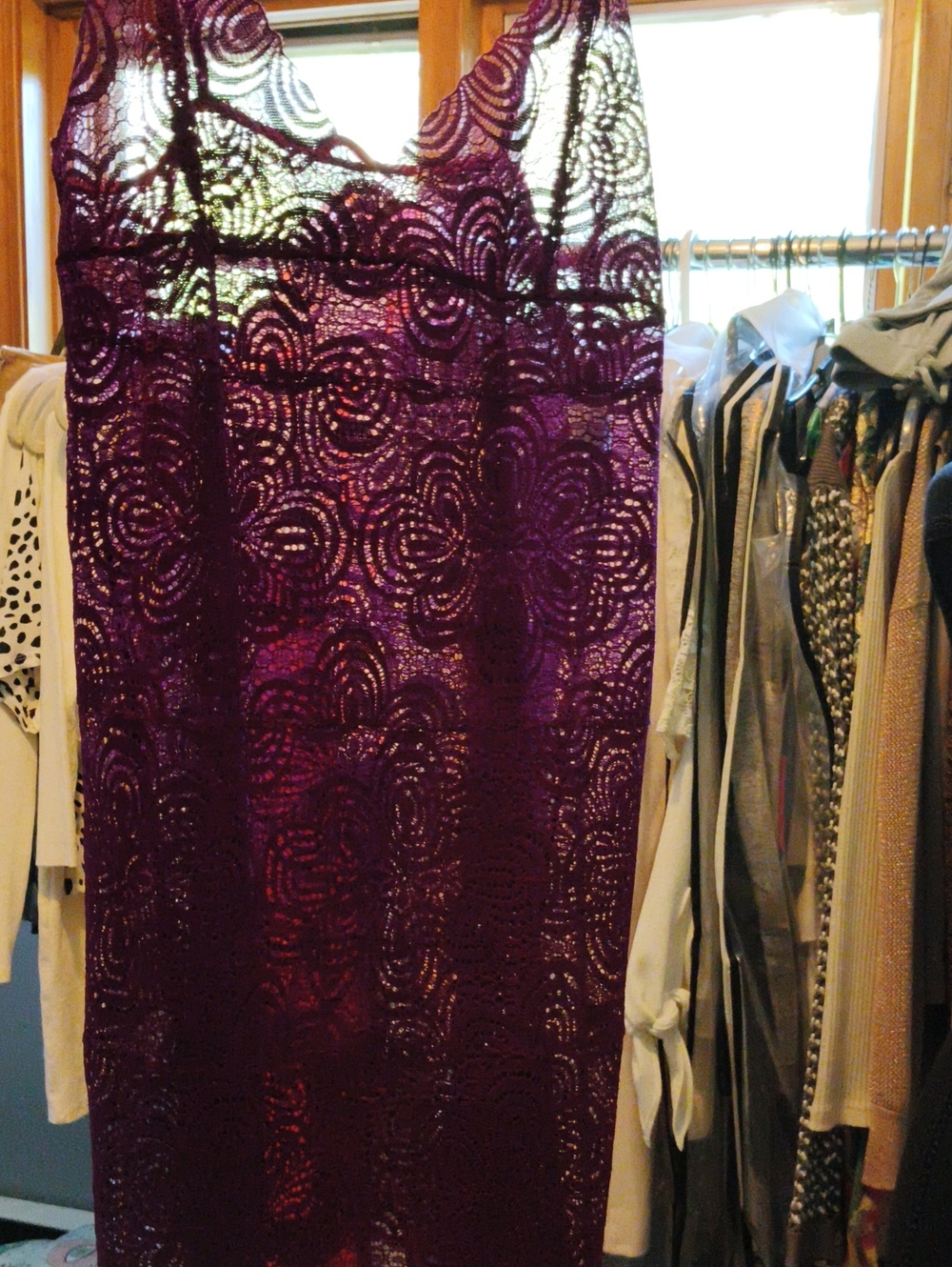 Lace Chemise in Vibrant Eggplant Beautiful S
